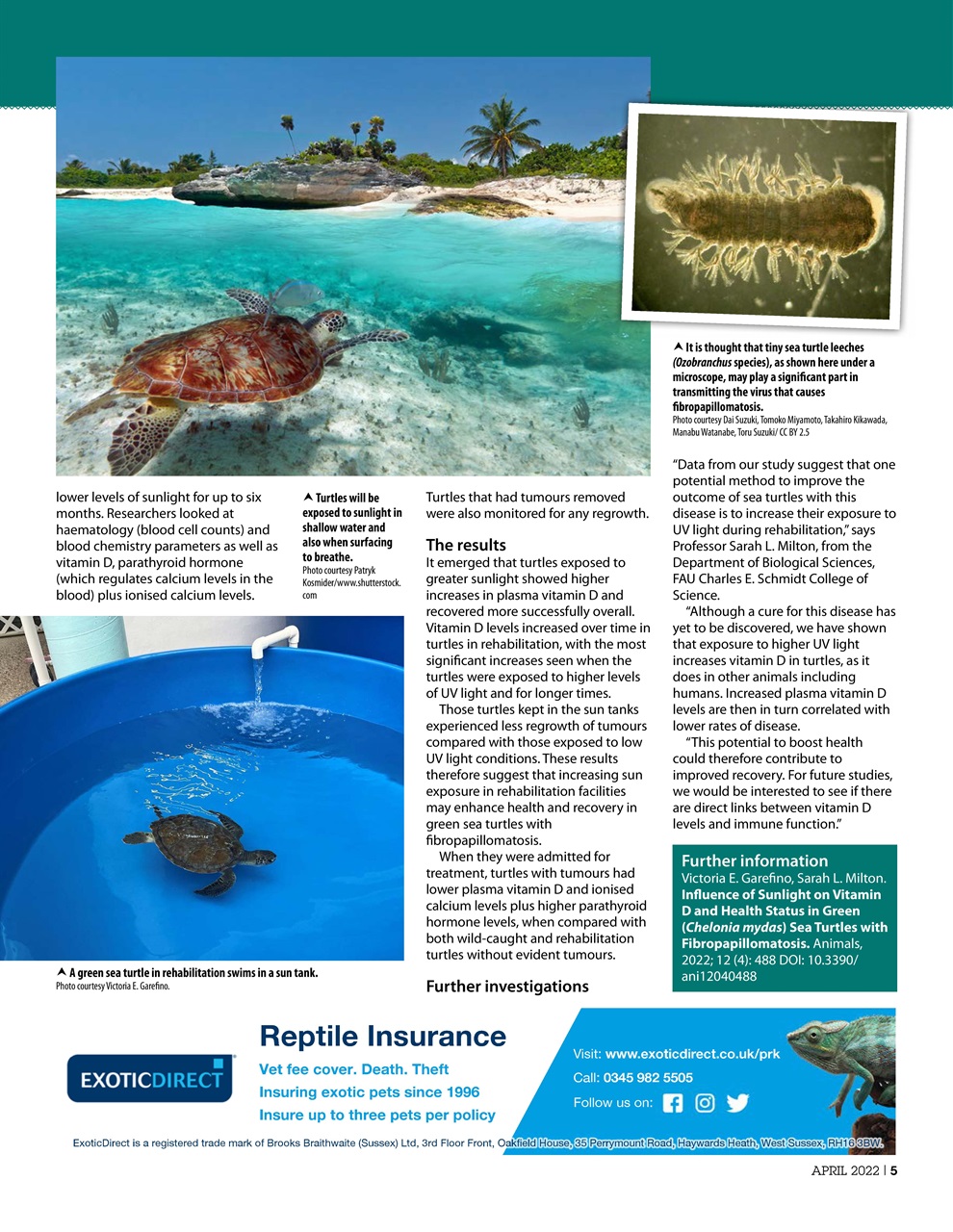 Practical Reptile Keeping Preview Pages