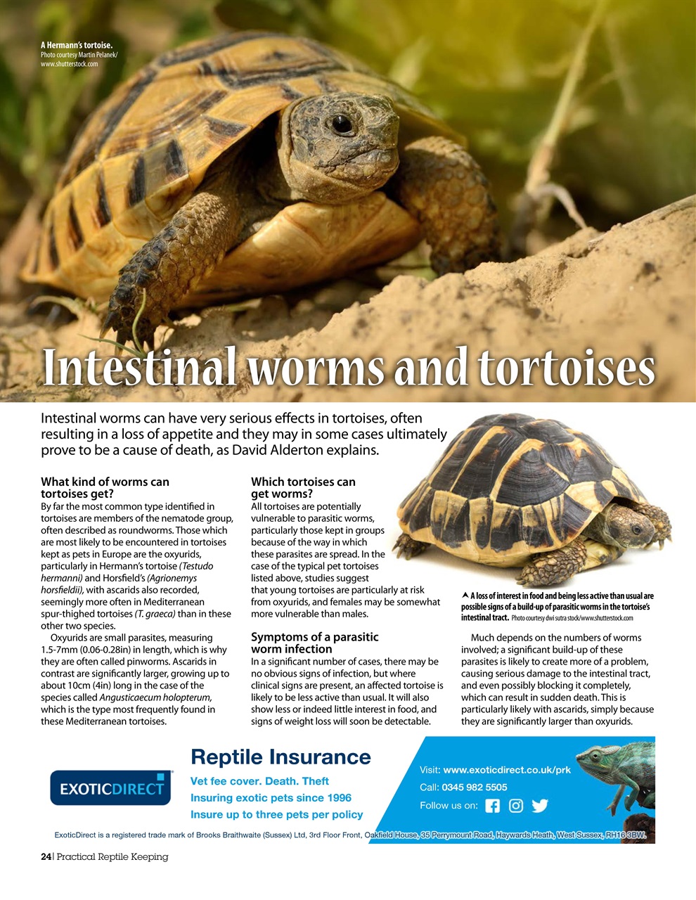 Practical Reptile Keeping Preview Pages