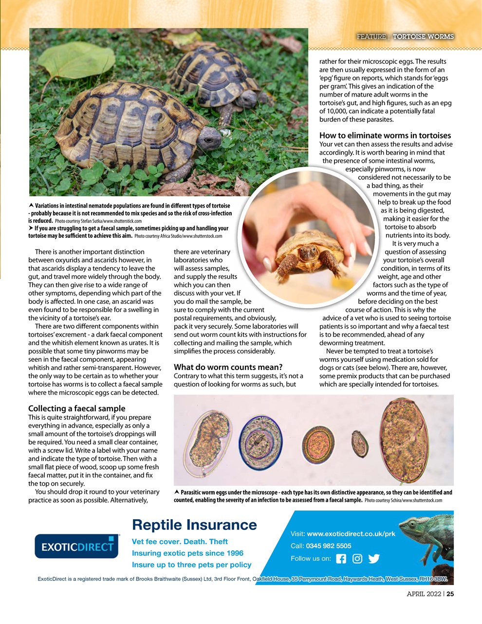 Practical Reptile Keeping Preview Pages
