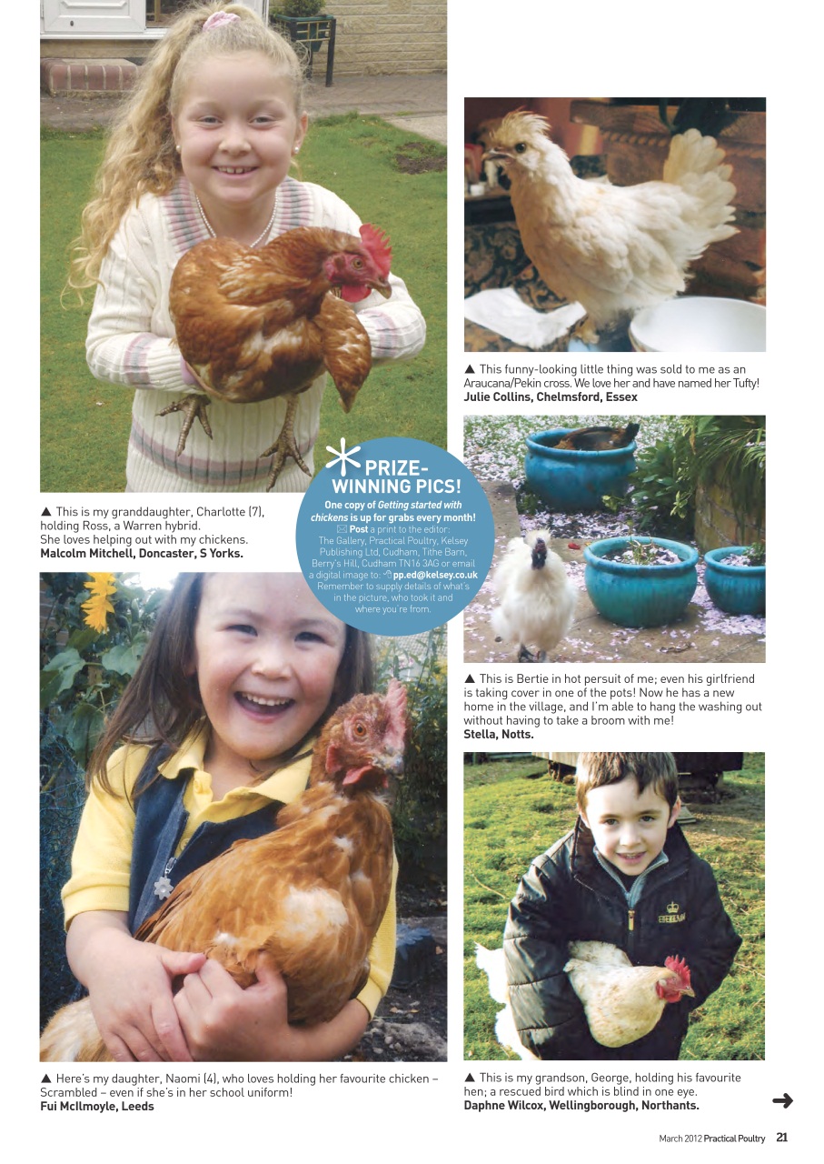 Practical Poultry Preview Pages