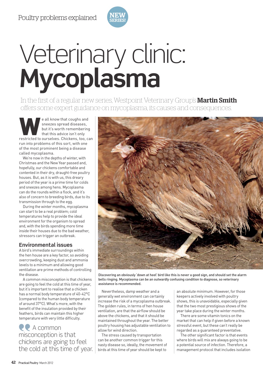 Practical Poultry Preview Pages