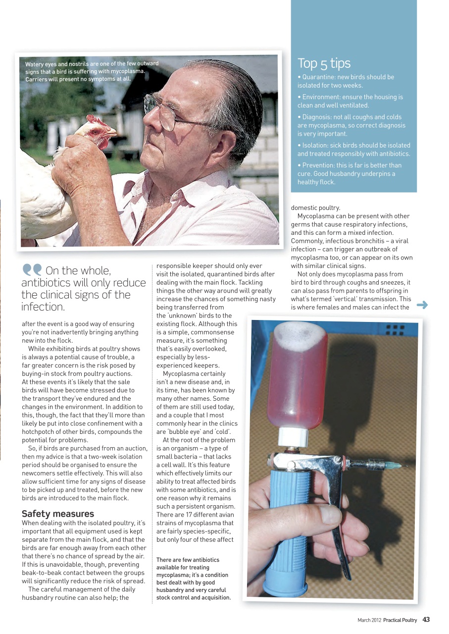 Practical Poultry Preview Pages