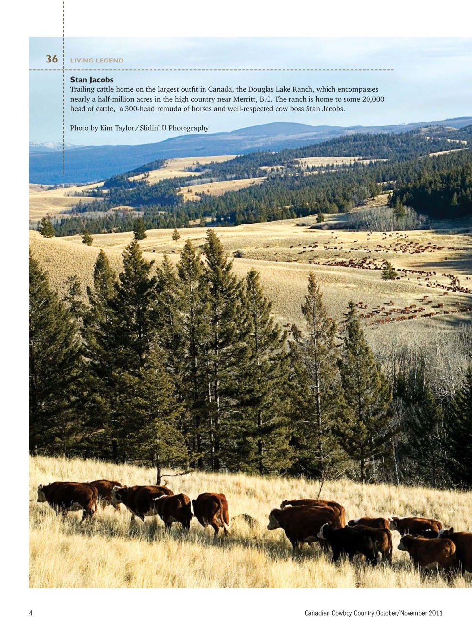 Canadian Cowboy Country Preview Pages