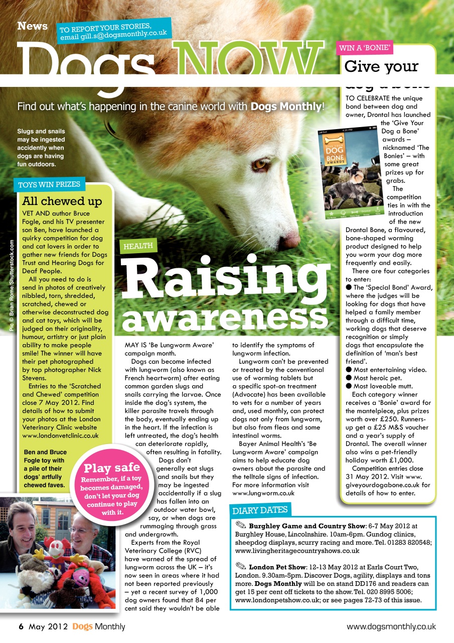 Dogs Monthly Preview Pages