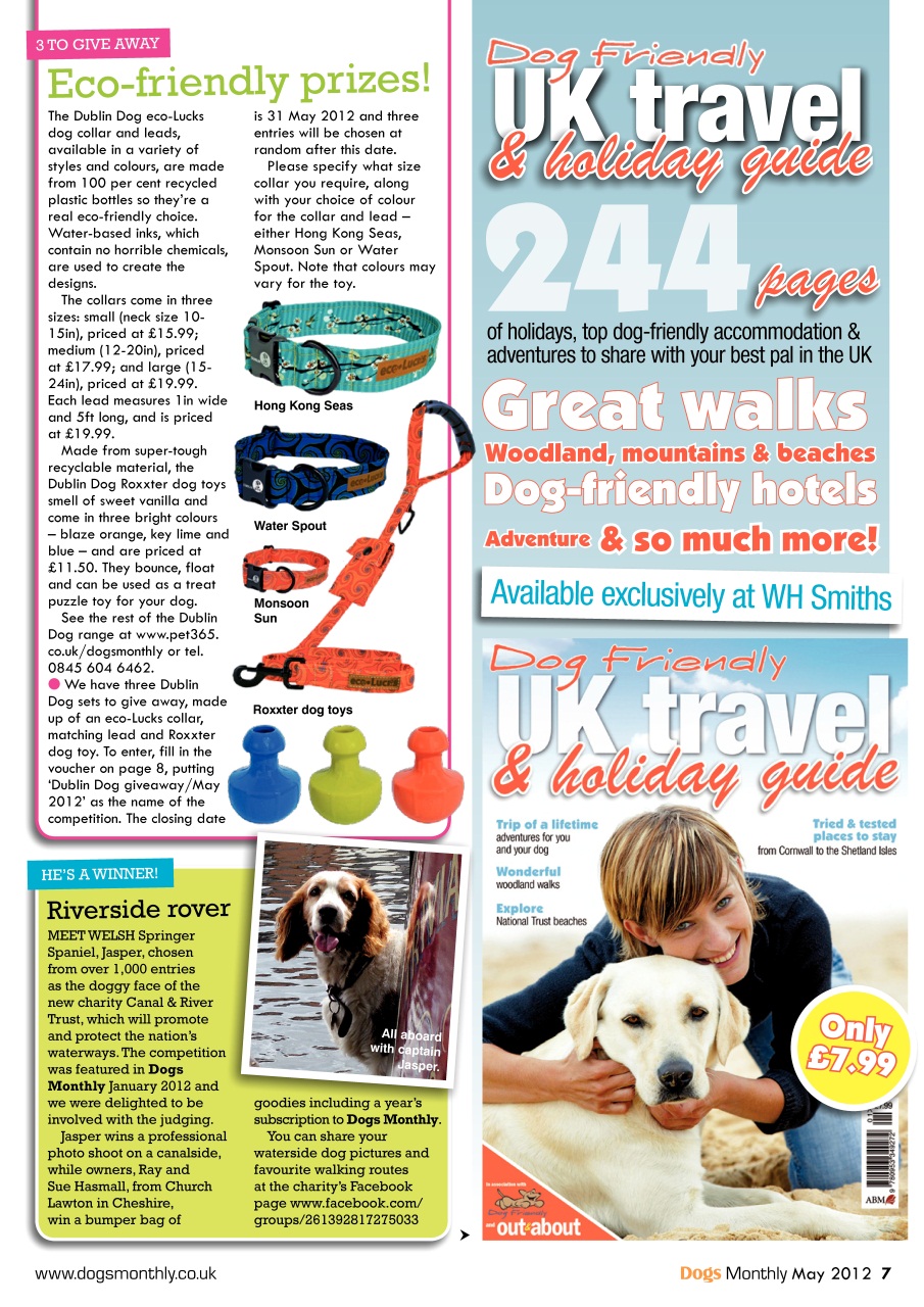 Dogs Monthly Preview Pages