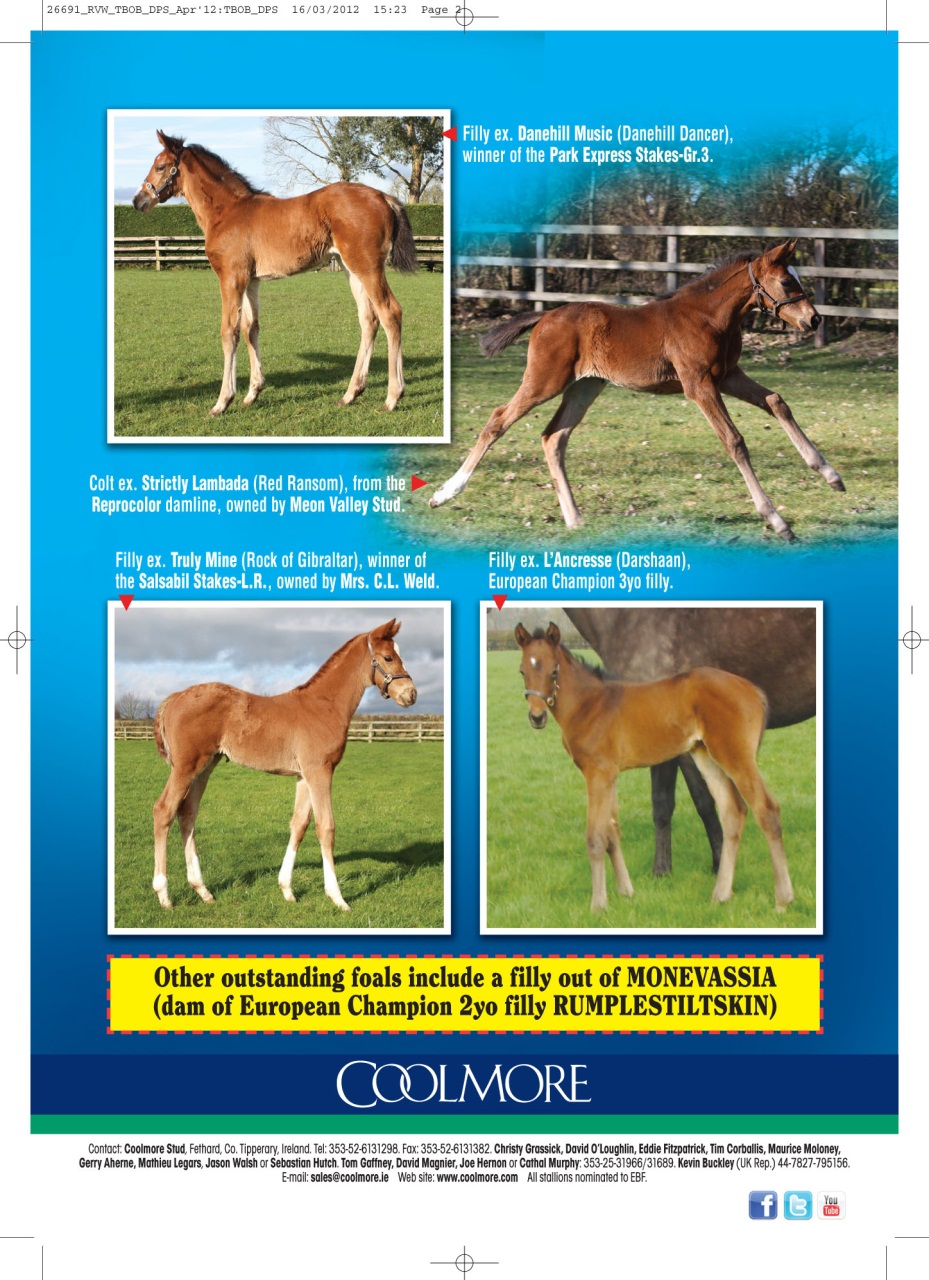 The Owner Breeder Preview Pages