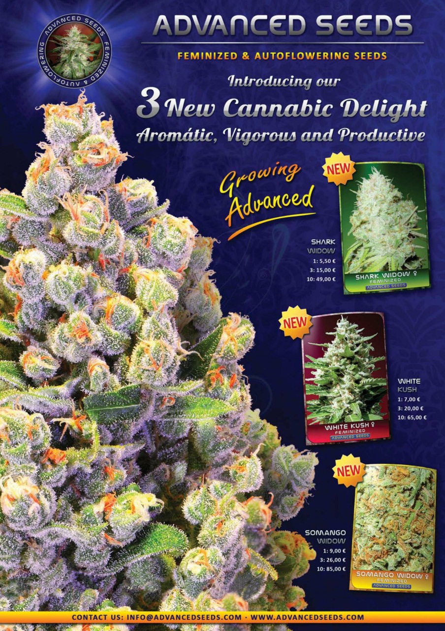 Weed World Preview Pages