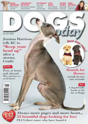 Dogs Today Magazine issue May 2012