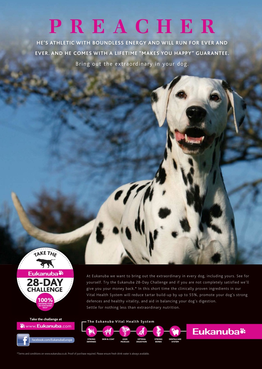 Dogs Today Magazine Preview Pages