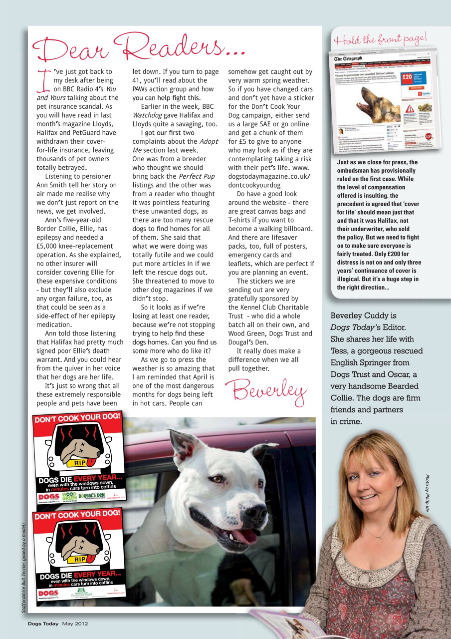 Dogs Today Magazine Preview Pages