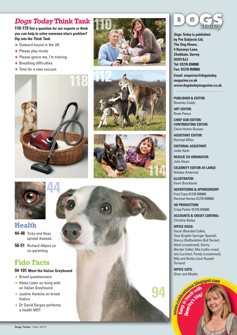 Dogs Today Magazine Preview Pages