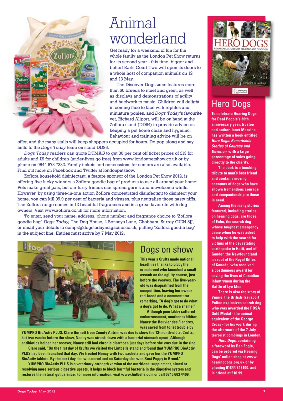 Dogs Today Magazine Preview Pages