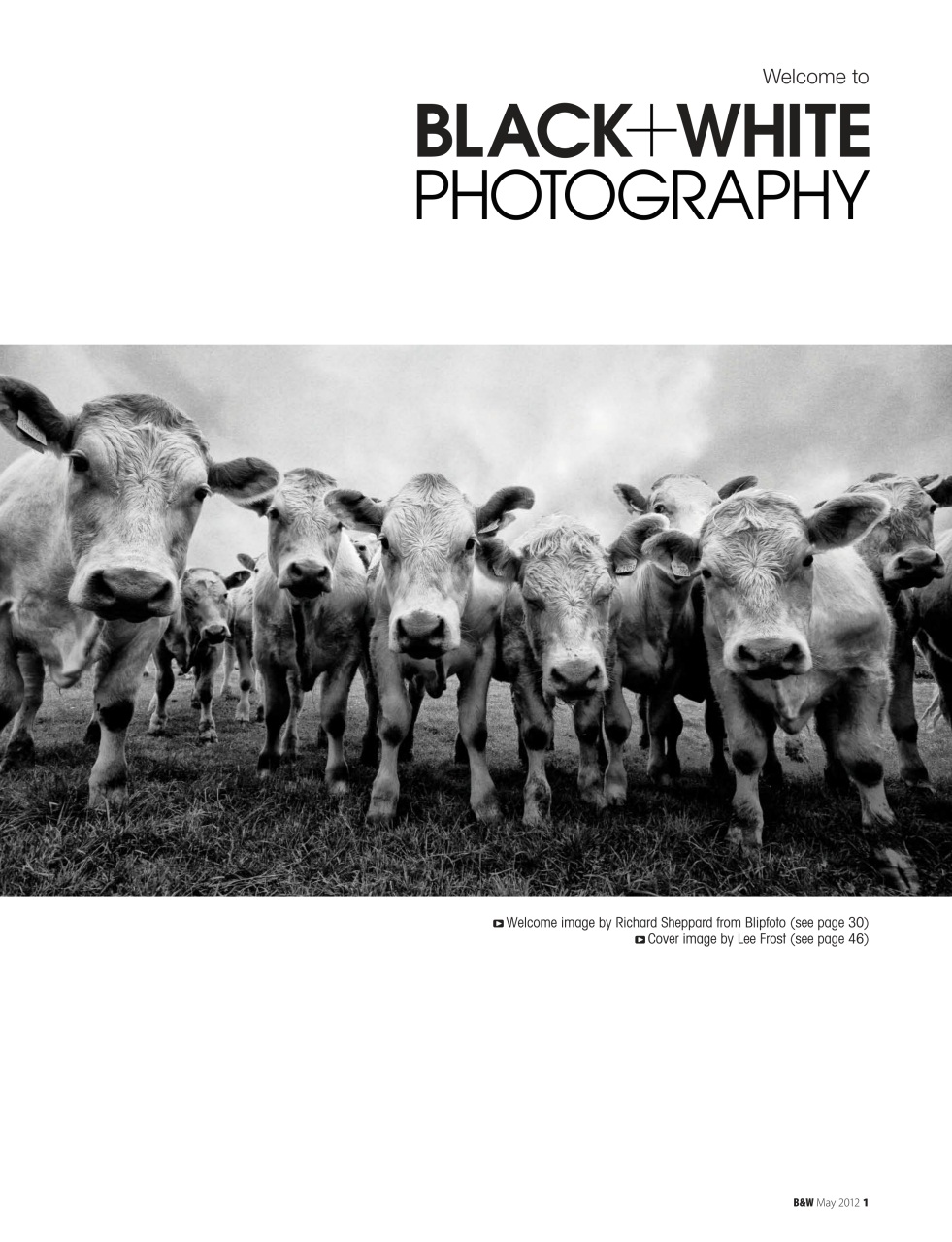 Black+White Photography Preview Pages