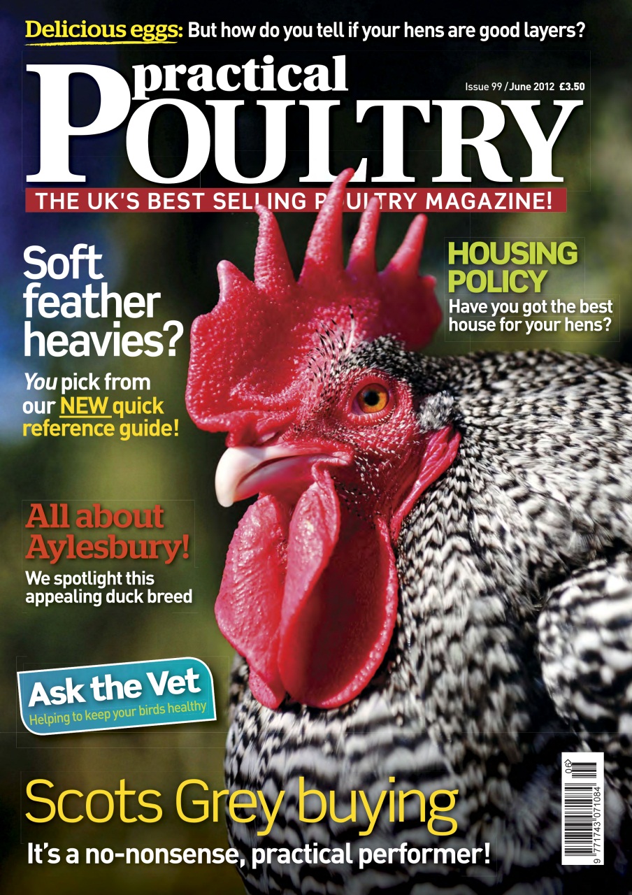 Practical Poultry Preview Pages