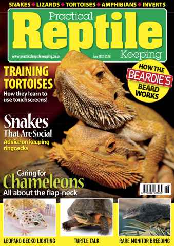 Practical Reptile Keeping issue No.37 Training Tortoises