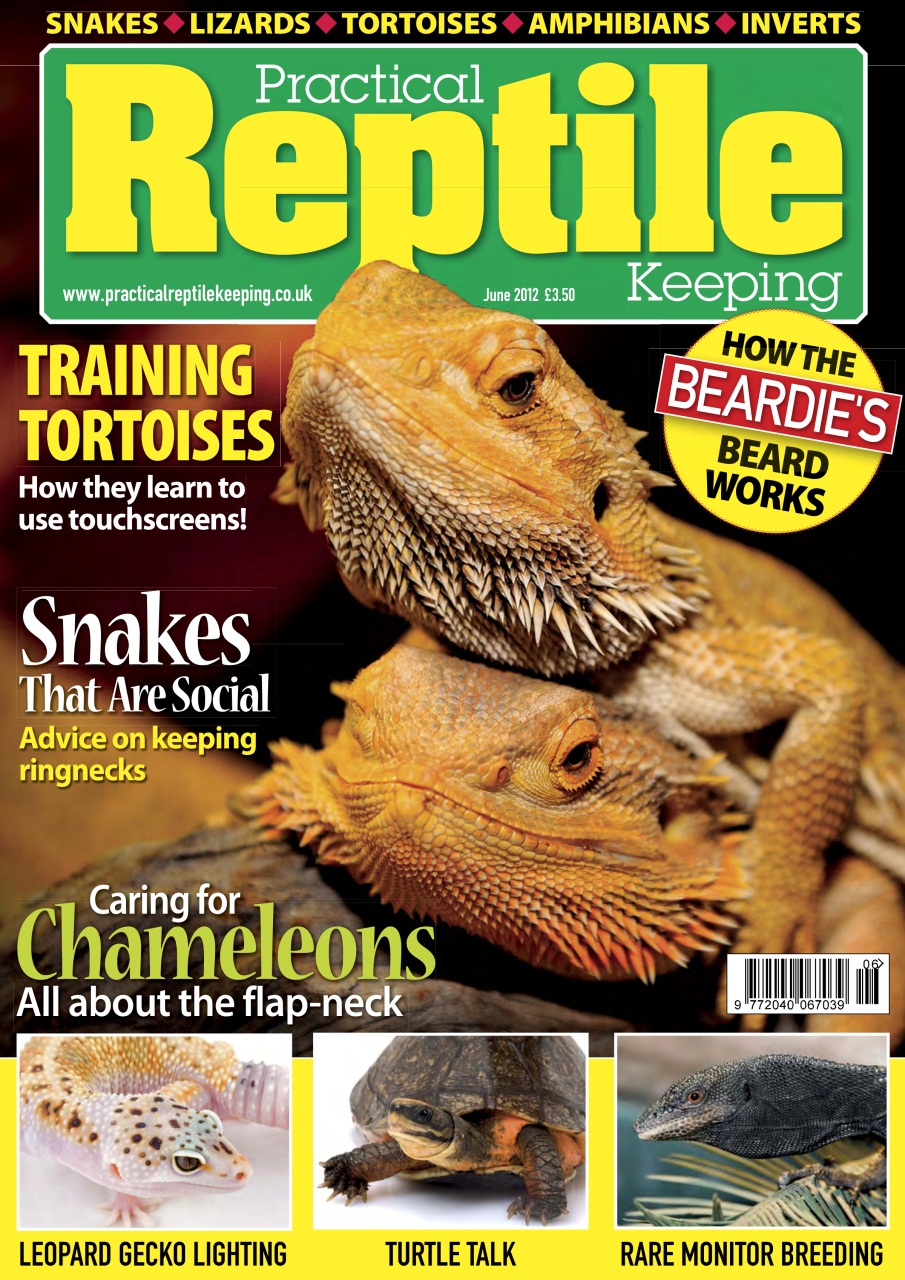 Practical Reptile Keeping Preview Pages