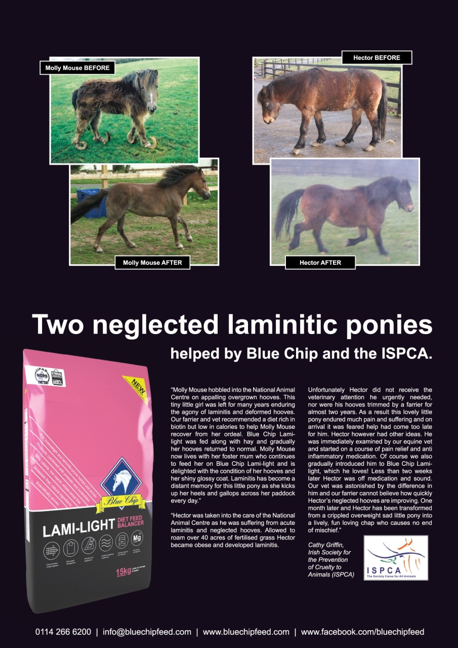 Horse&Rider Magazine - UK equestrian magazine for Horse and Rider Preview Pages