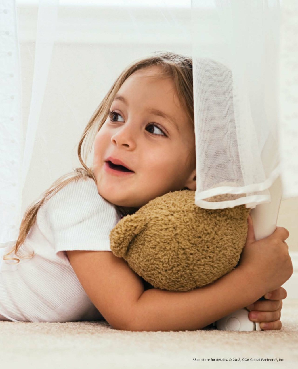 Canadian Home Trends Preview Pages