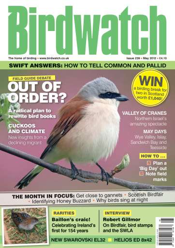 Birdwatch Magazine issue 