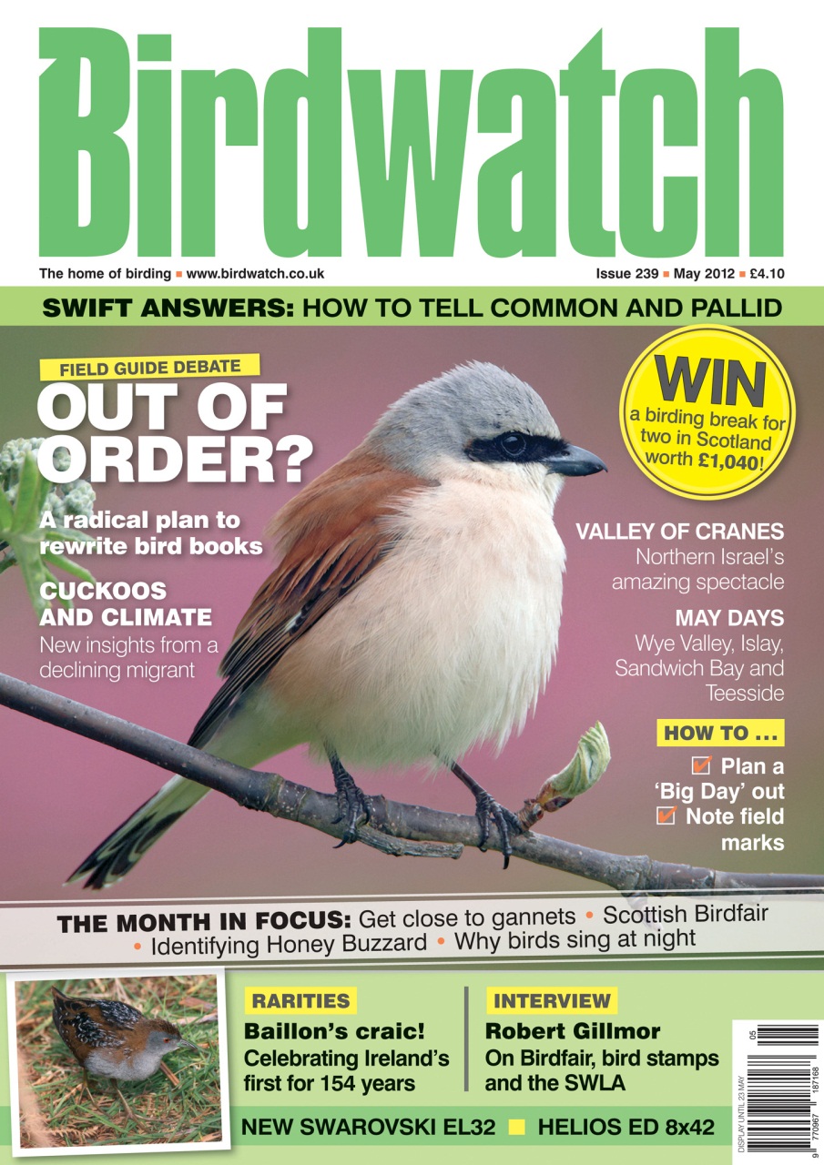 Birdwatch Magazine Preview Pages