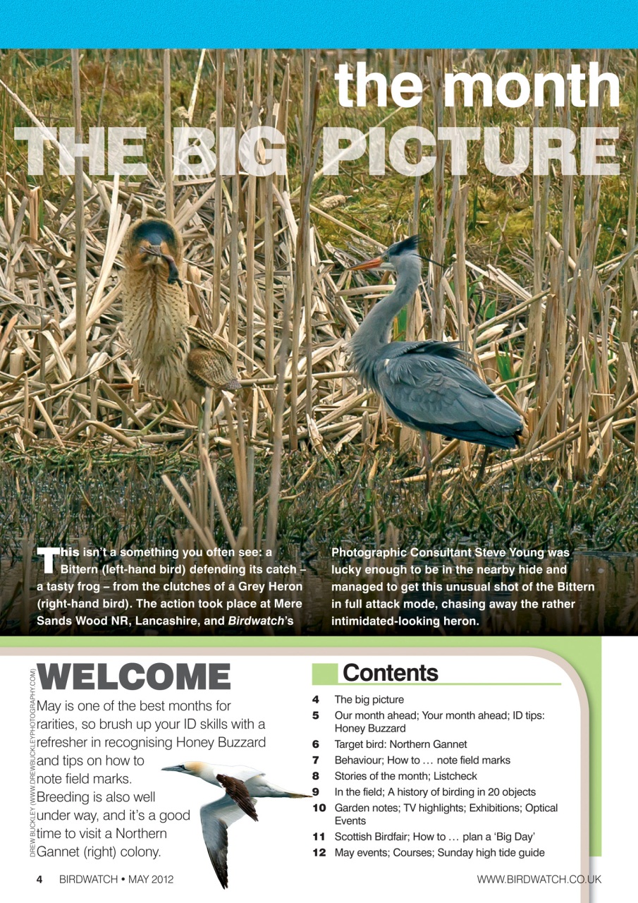 Birdwatch Magazine Preview Pages