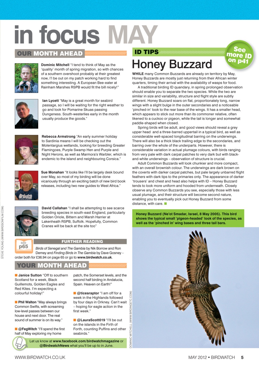 Birdwatch Magazine Preview Pages
