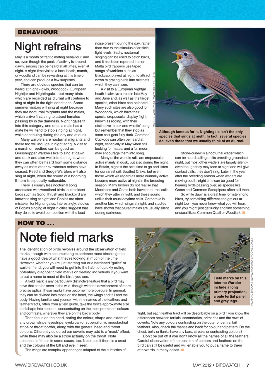 Birdwatch Magazine Preview Pages