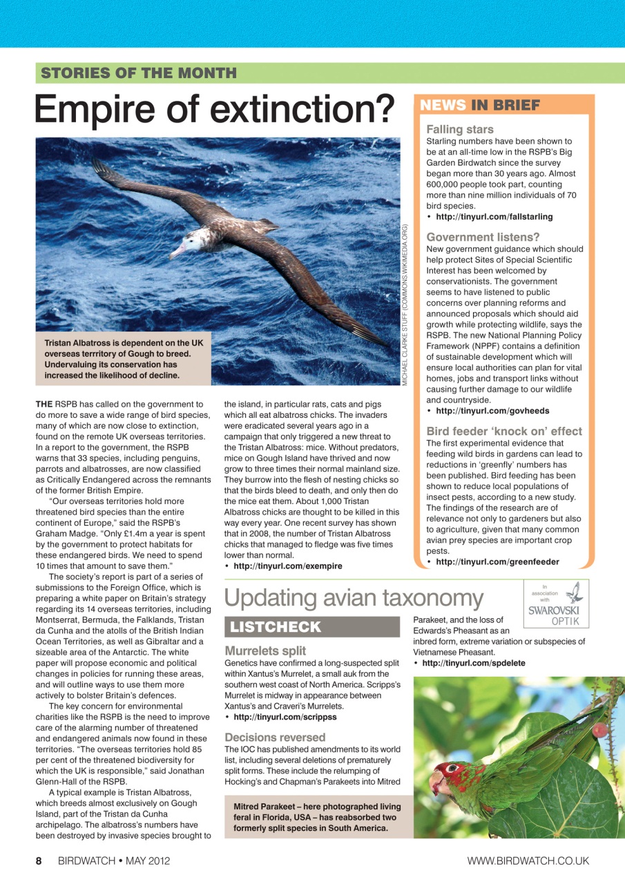 Birdwatch Magazine Preview Pages