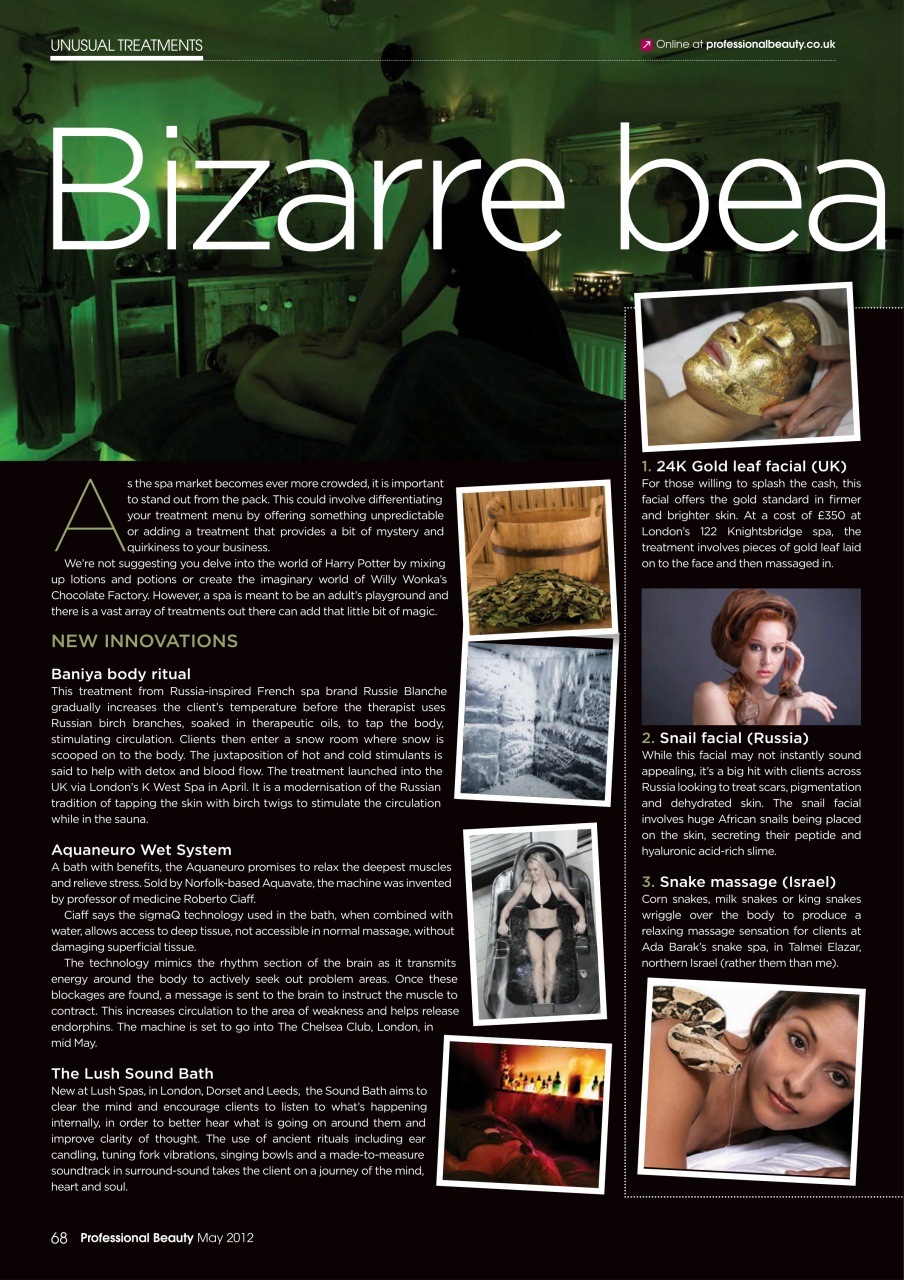 Professional Beauty Preview Pages