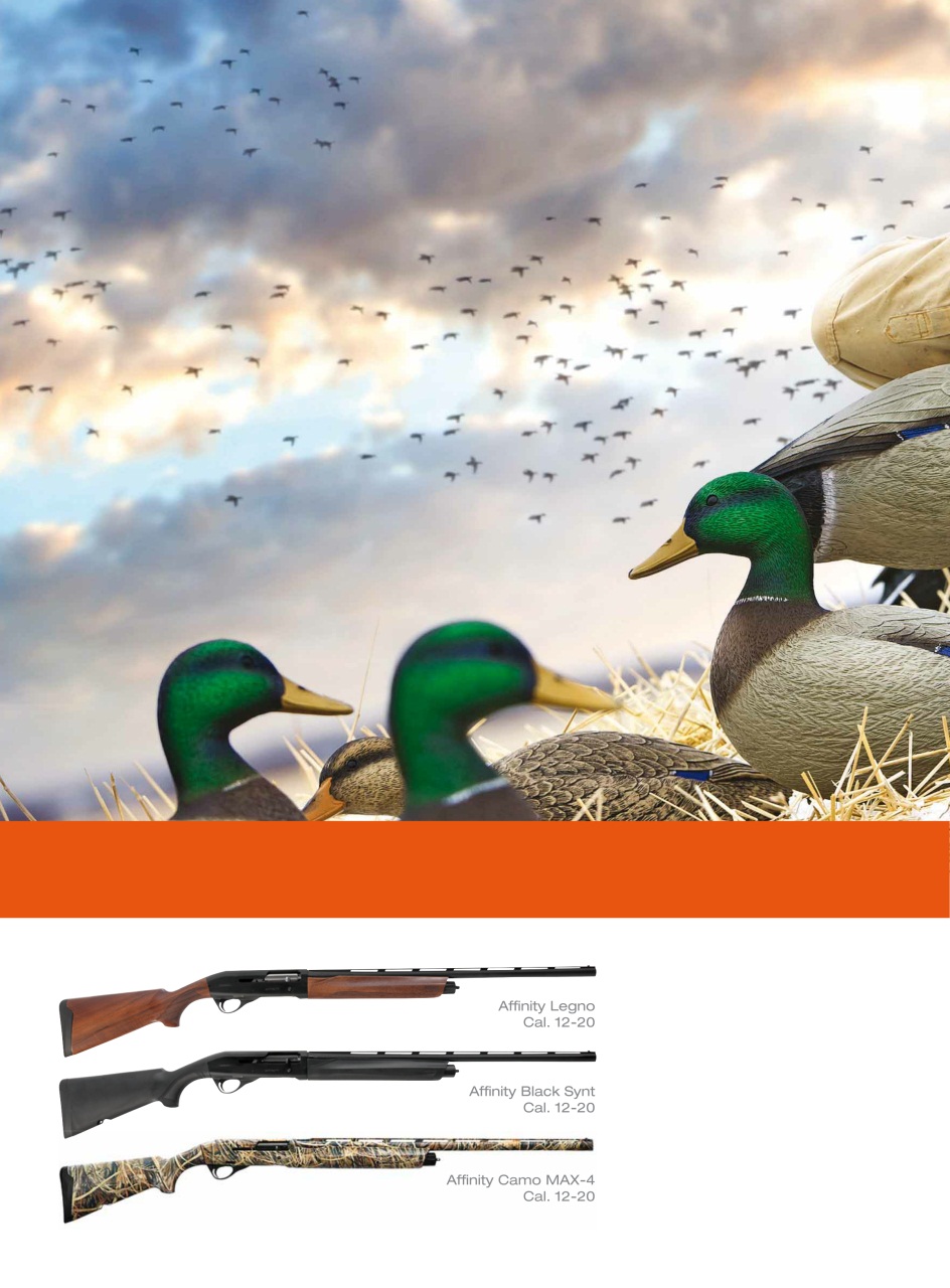 Armi E Tiro Preview Pages