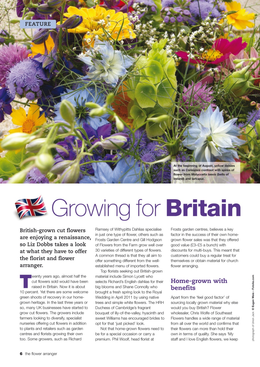 The Flower Arranger Preview Pages