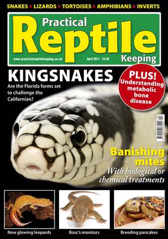 Practical Reptile Keeping issue No.22 Kingsnakes