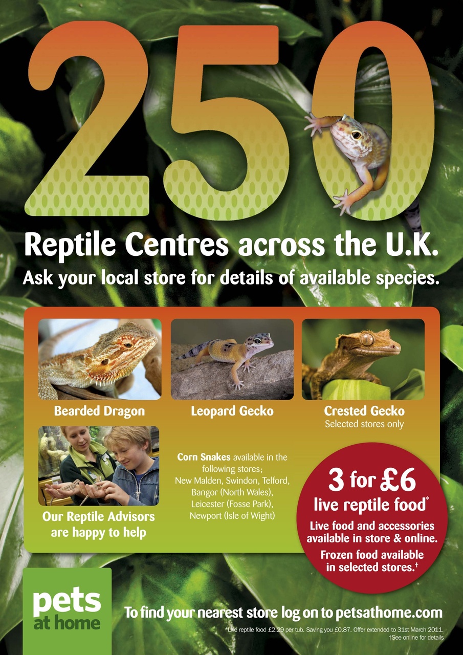Practical Reptile Keeping Preview Pages