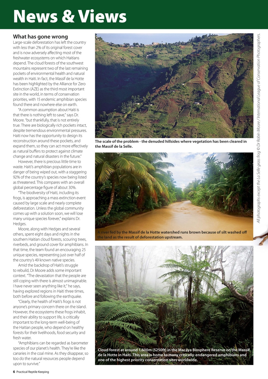 Practical Reptile Keeping Preview Pages