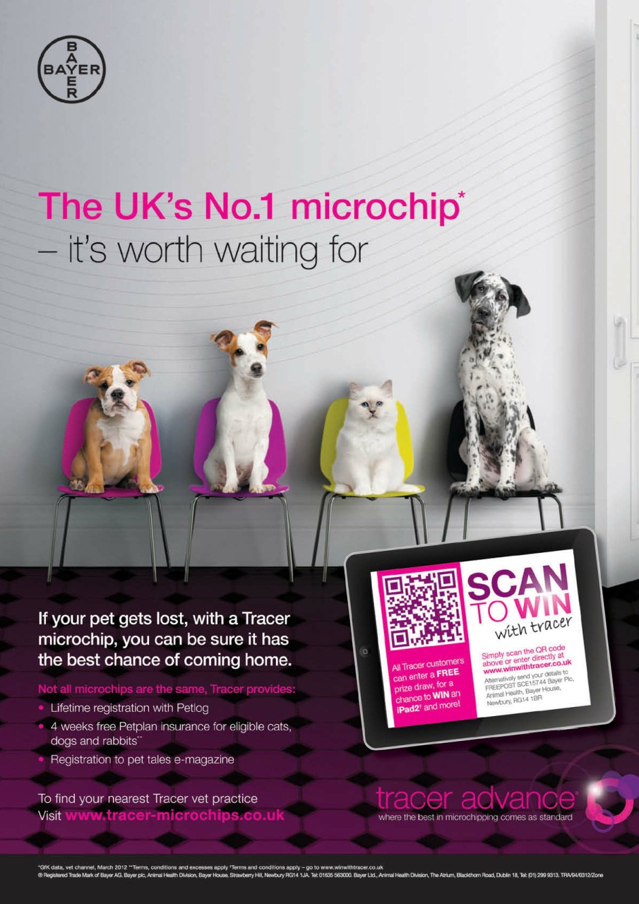 Dogs Monthly Preview Pages