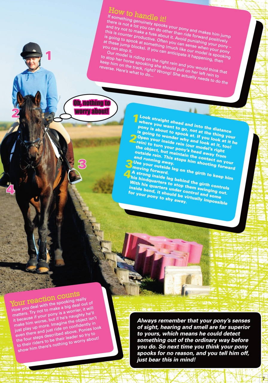 Pony Magazine Preview Pages