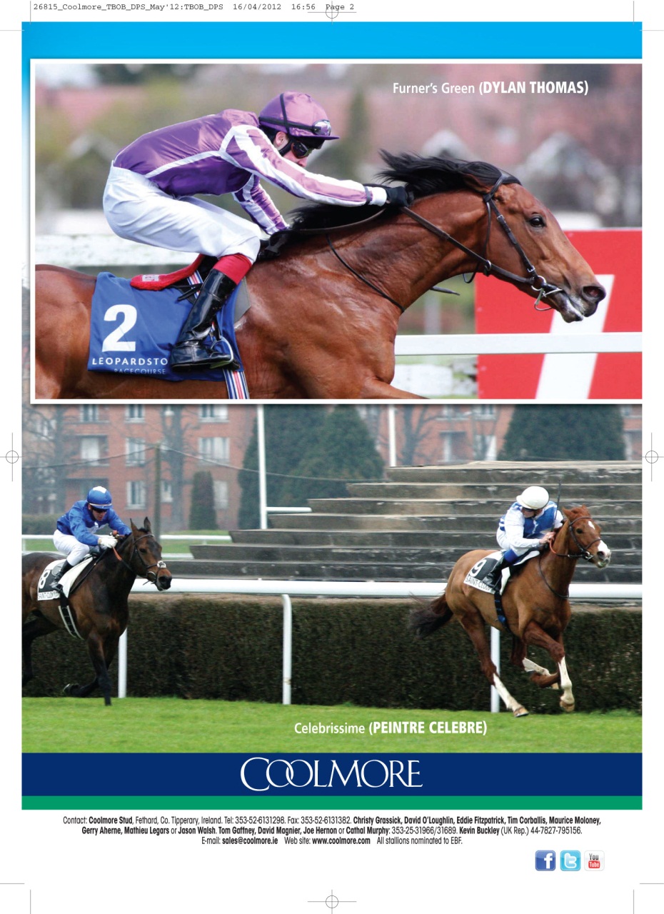 The Owner Breeder Preview Pages