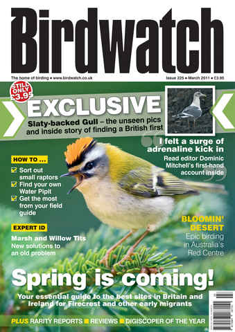 Birdwatch Magazine issue March 2011