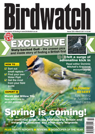 Birdwatch Magazine issue 