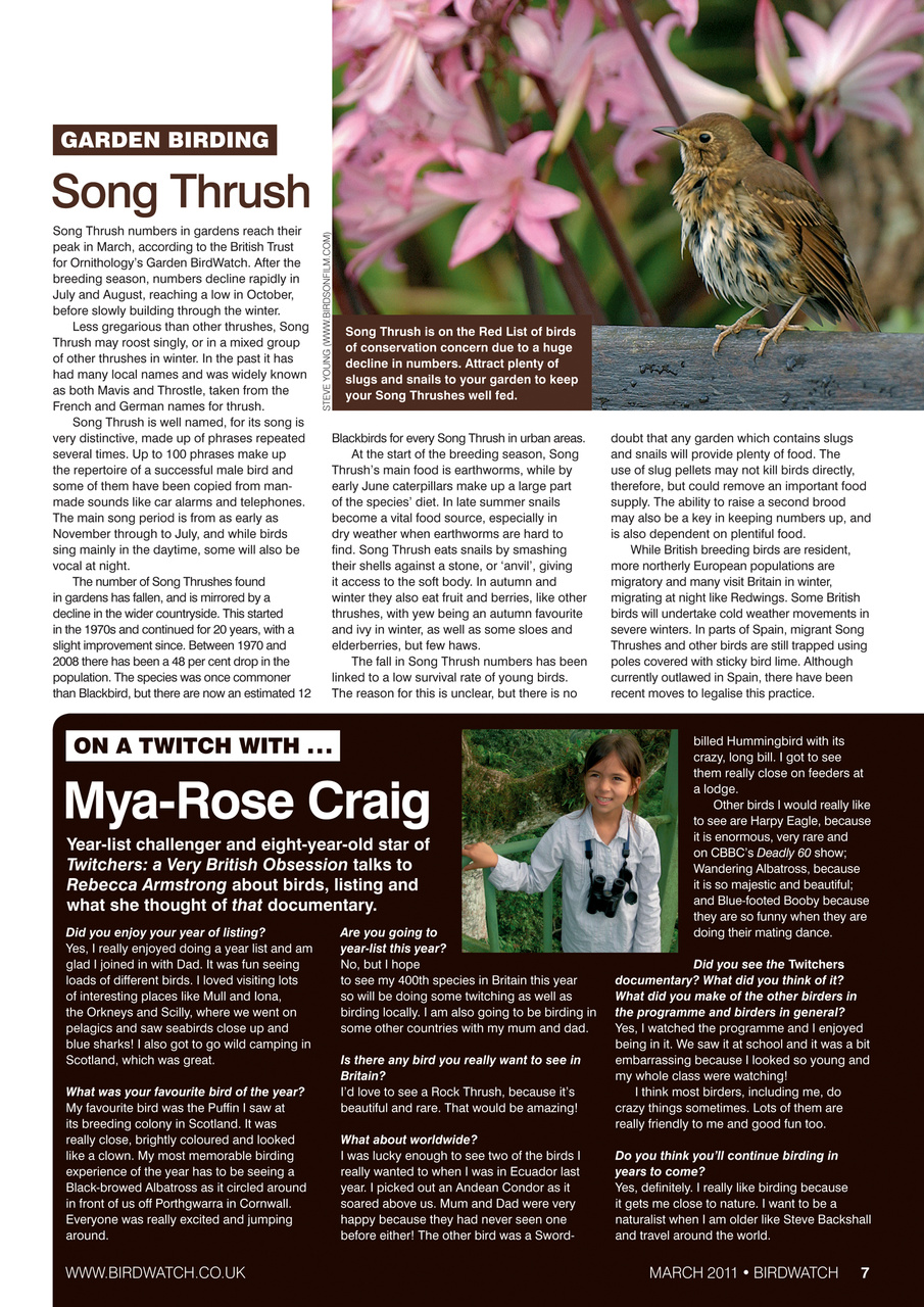 Birdwatch Magazine Preview Pages