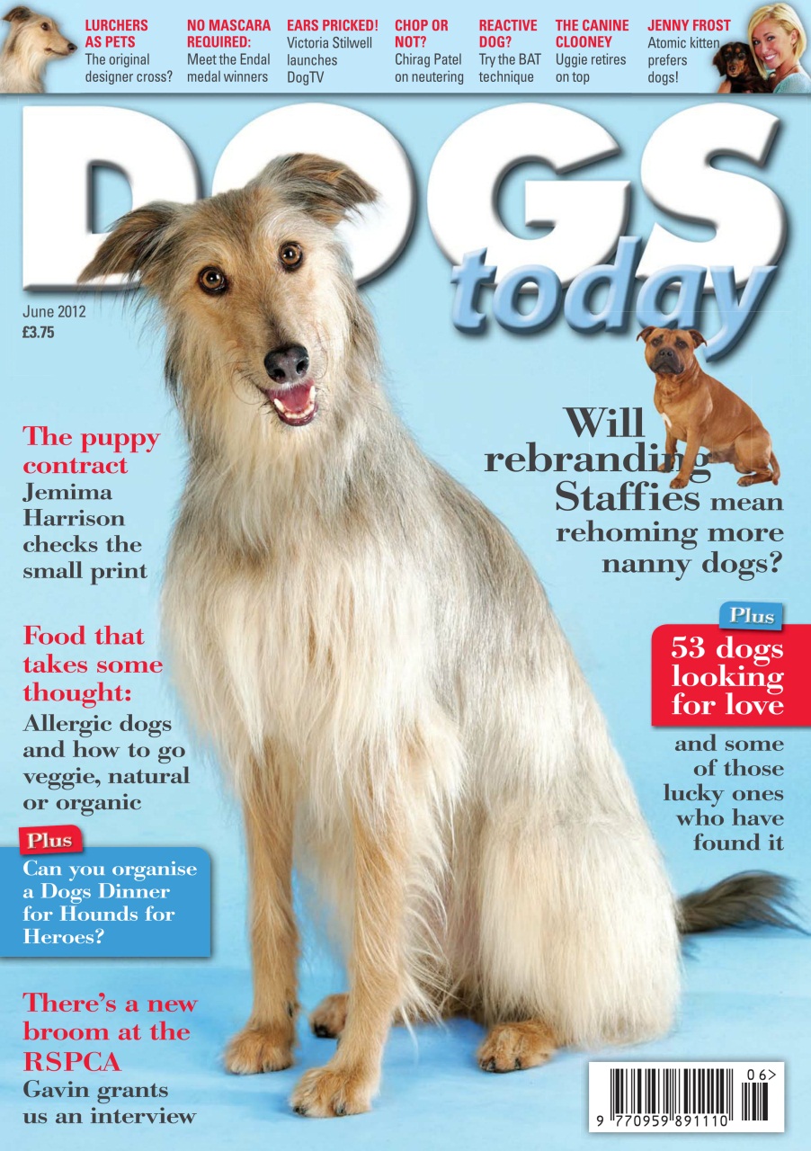 Dogs Today Magazine Preview Pages