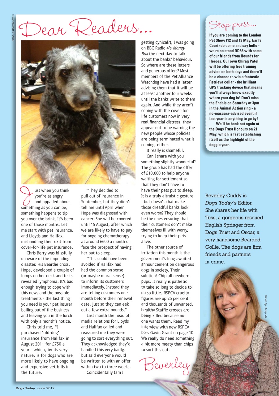 Dogs Today Magazine Preview Pages