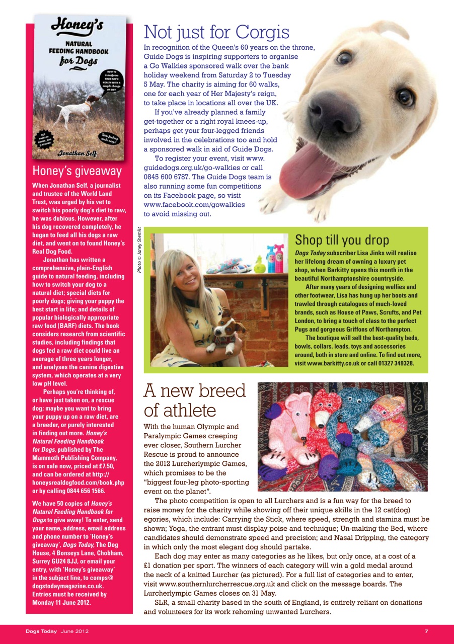 Dogs Today Magazine Preview Pages