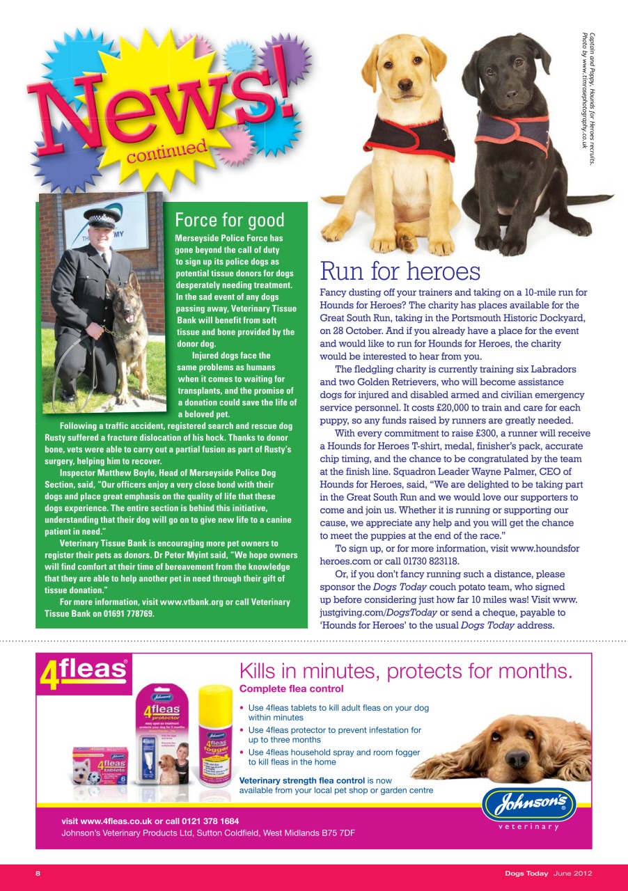 Dogs Today Magazine Preview Pages