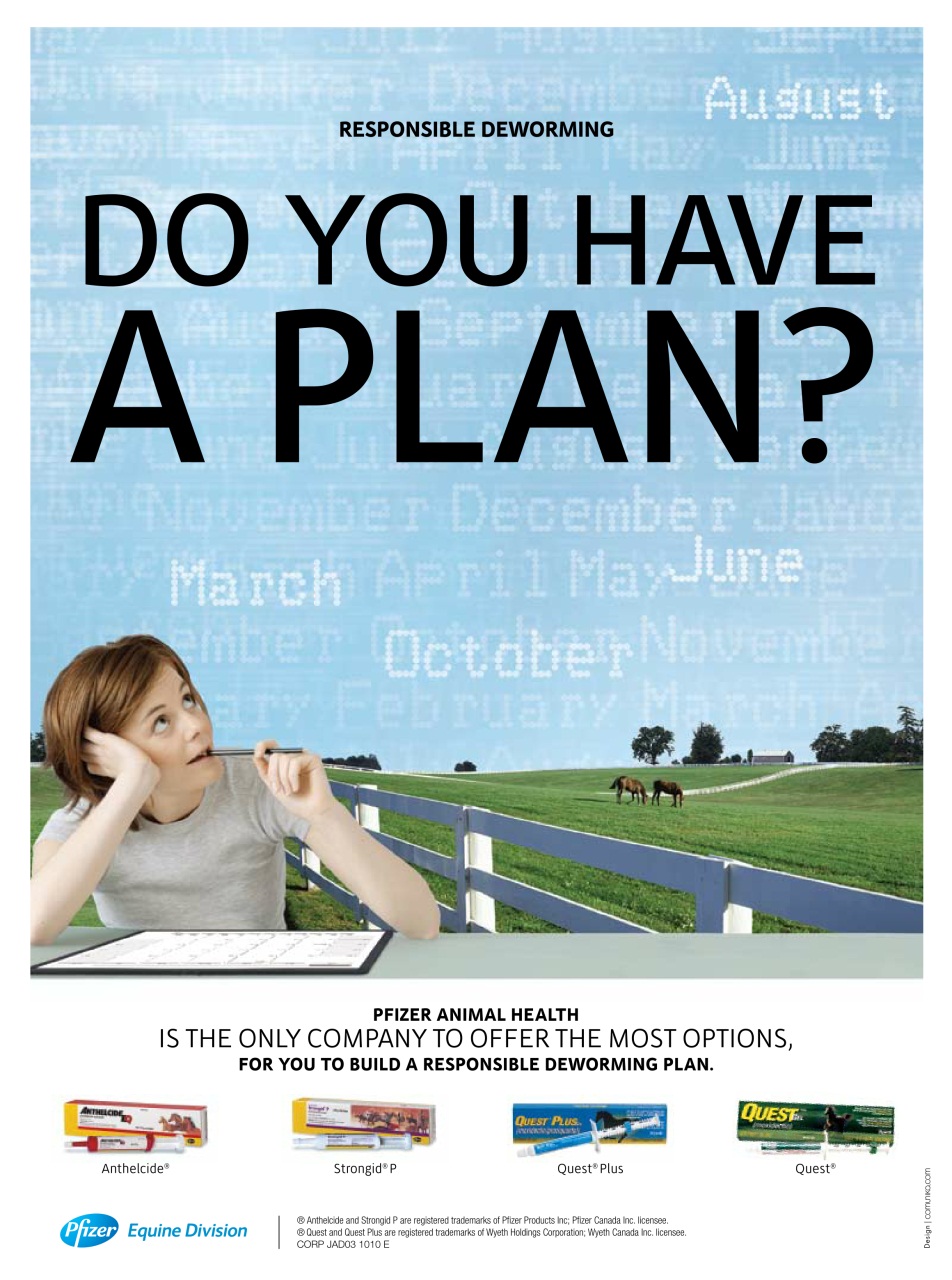 Western Horse Review Preview Pages