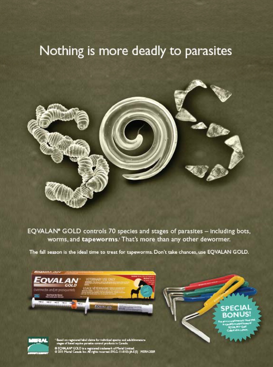 Western Horse Review Preview Pages