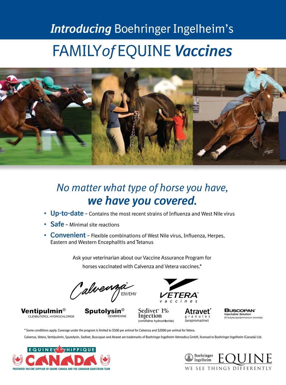 Western Horse Review Preview Pages