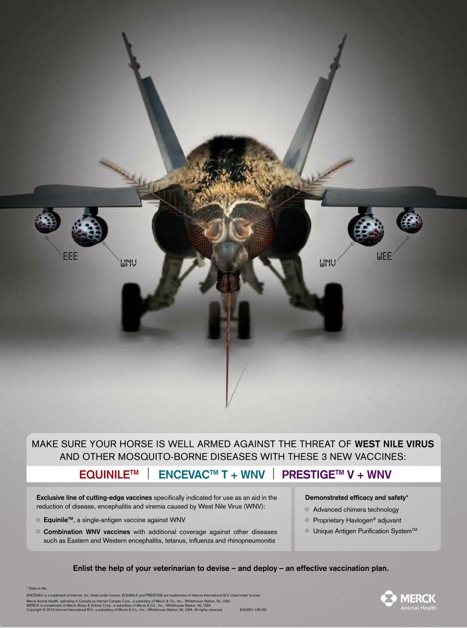 Western Horse Review Preview Pages