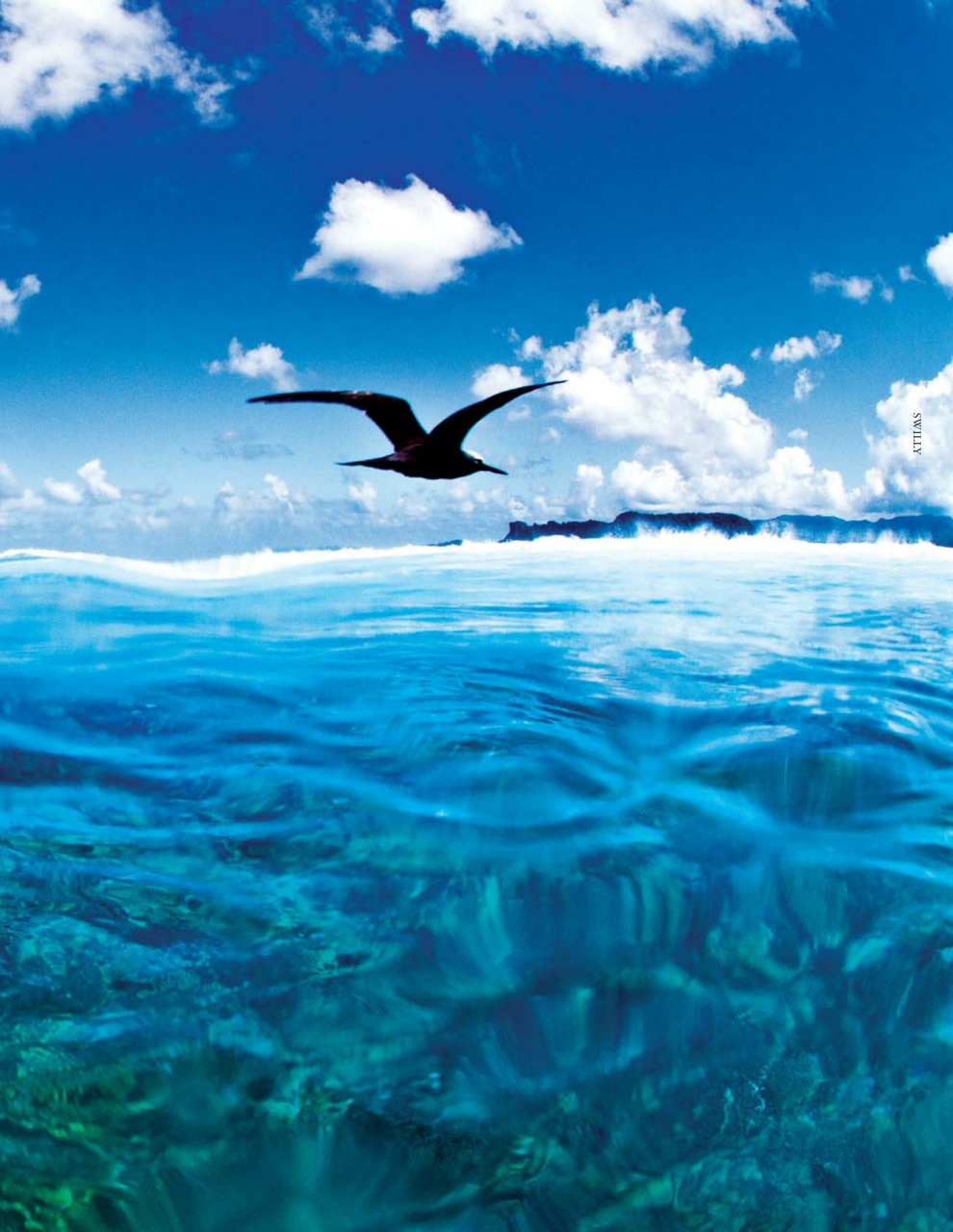 SurfGirl Magazine Preview Pages