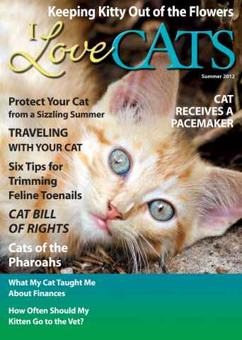 I Love Cats issue Summer 2012